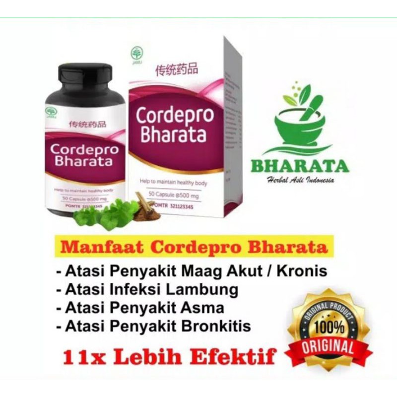 Obat Sesak Nafas-Obat Maag Kronis-Obat Gerd-Obat Bronkitis Ampuh Resmi BPOM- Cordepro Bharata