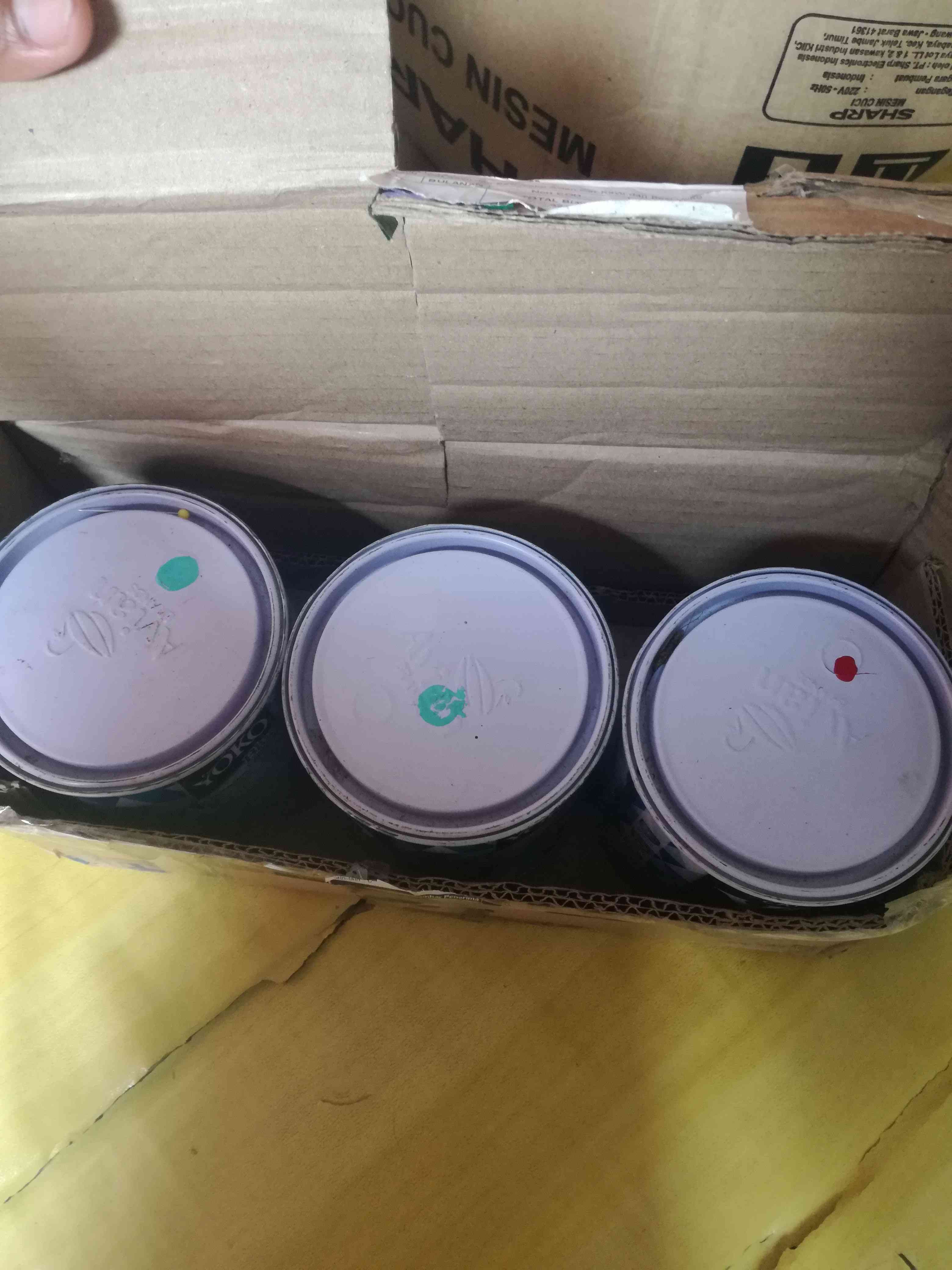 Cat Kayu Dan Besi Yoko Avian