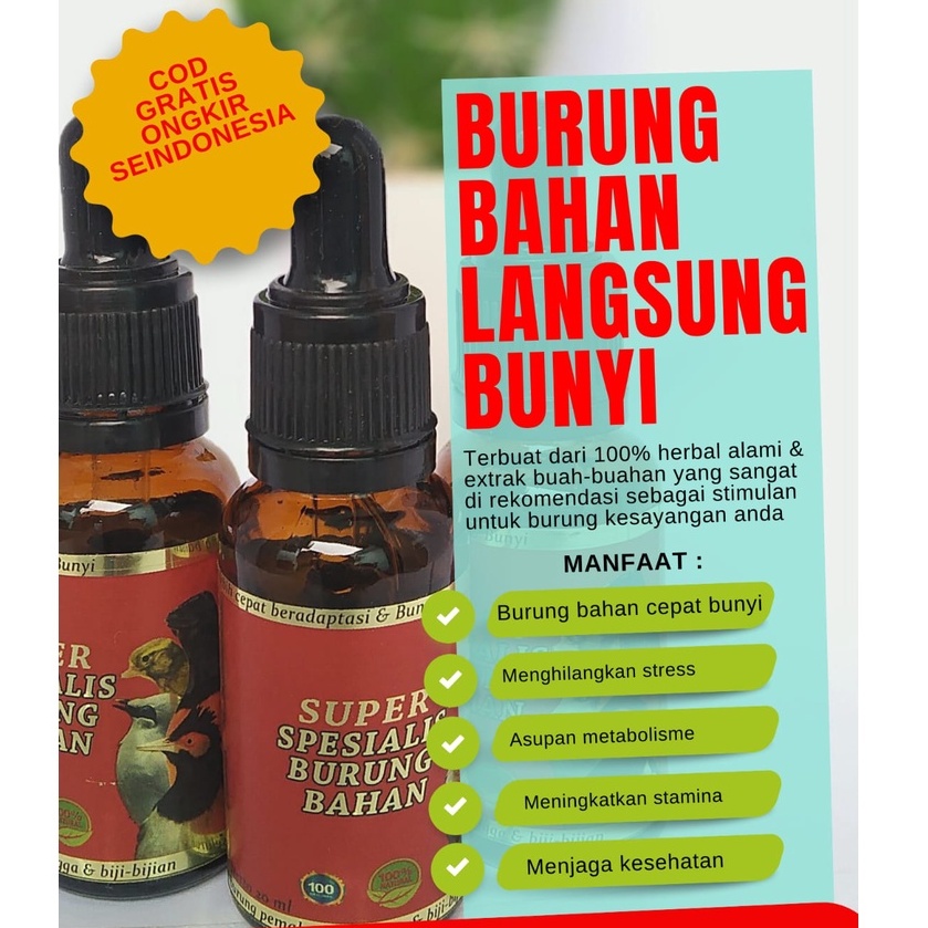 super spesialis burung bahan burung ombyokan langsung gacor