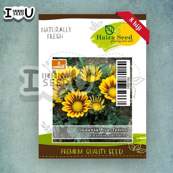 Haira Seed BIbit-Biji Bunga Gazania Pive Tesino