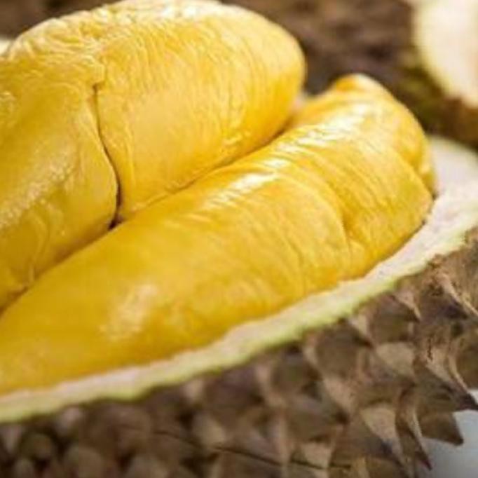 BIBIT TANAMAN DURIAN MUSANG KING KAKI 5 PRODUCT