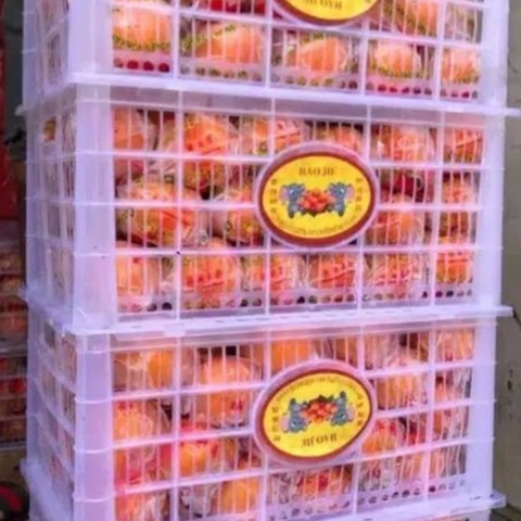 Buah Jeruk Mandarin Ponkam 1 keranjang