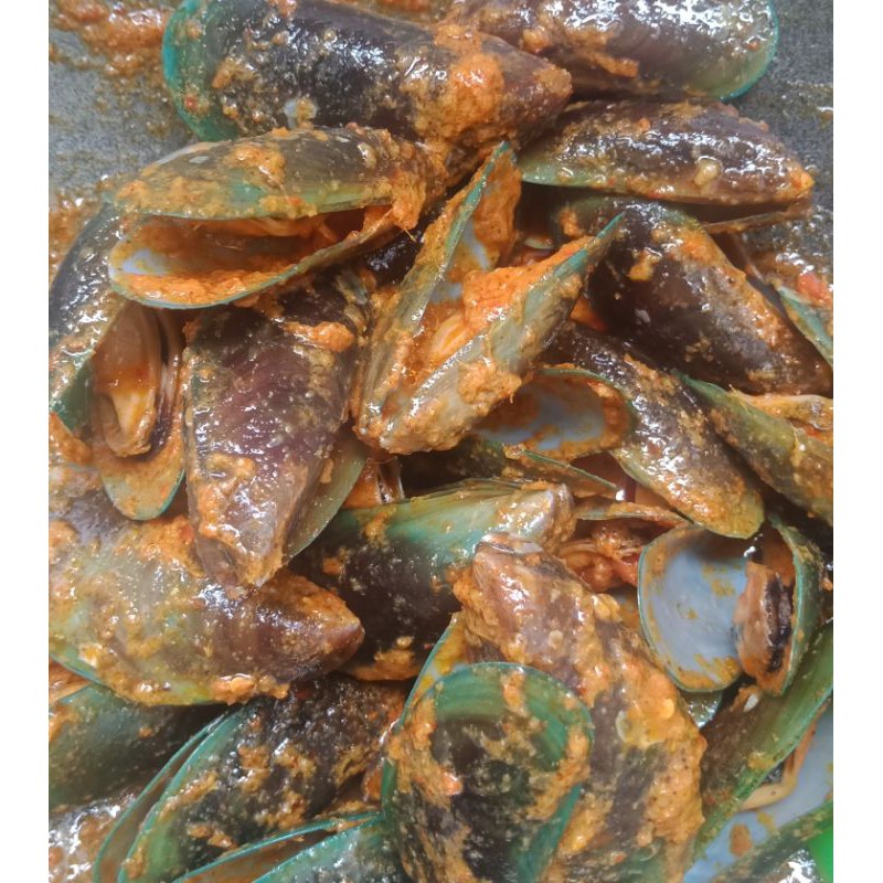 Kerang Hijau Bumbu Kuning Enak Shopee Indonesia