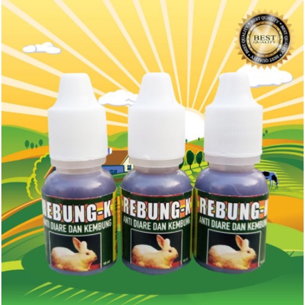 REBUNG K 10 ML - Obat Kembung Mencret Berak Lendir Berak Darah Kelinci