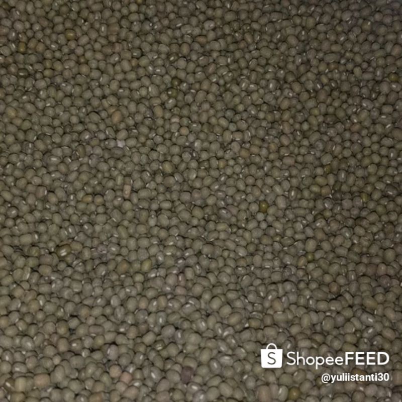 kacang hijau import untuk tauge