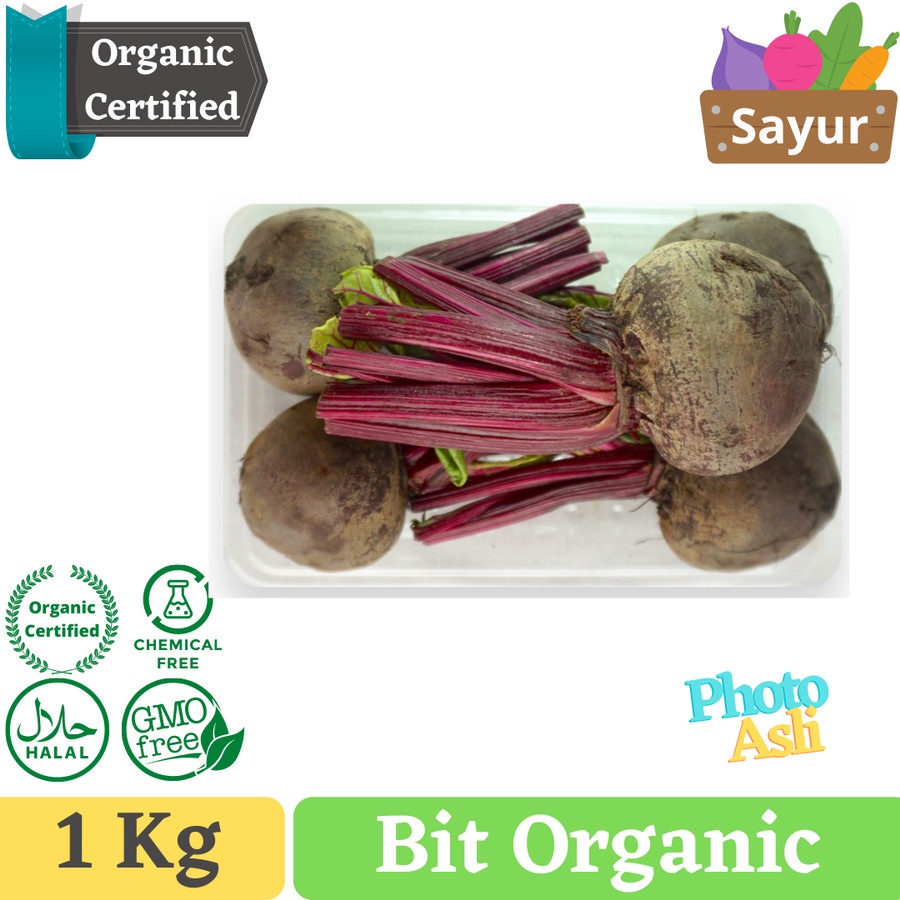 

SUPER PROMO Buah Bit Merah Organik / Beetroot Organic by Pangan Export