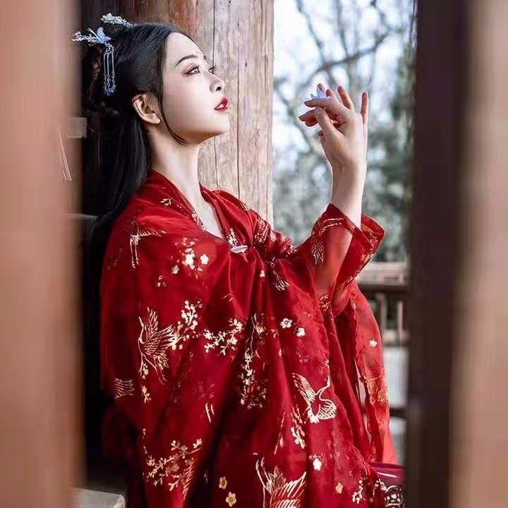 Crane original Hanfu authentic female Chinese style Chinese traditional Han clothing student chest-h