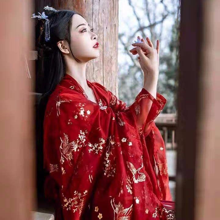 Crane original Hanfu authentic female Chinese style Chinese traditional Han clothing student chest-h