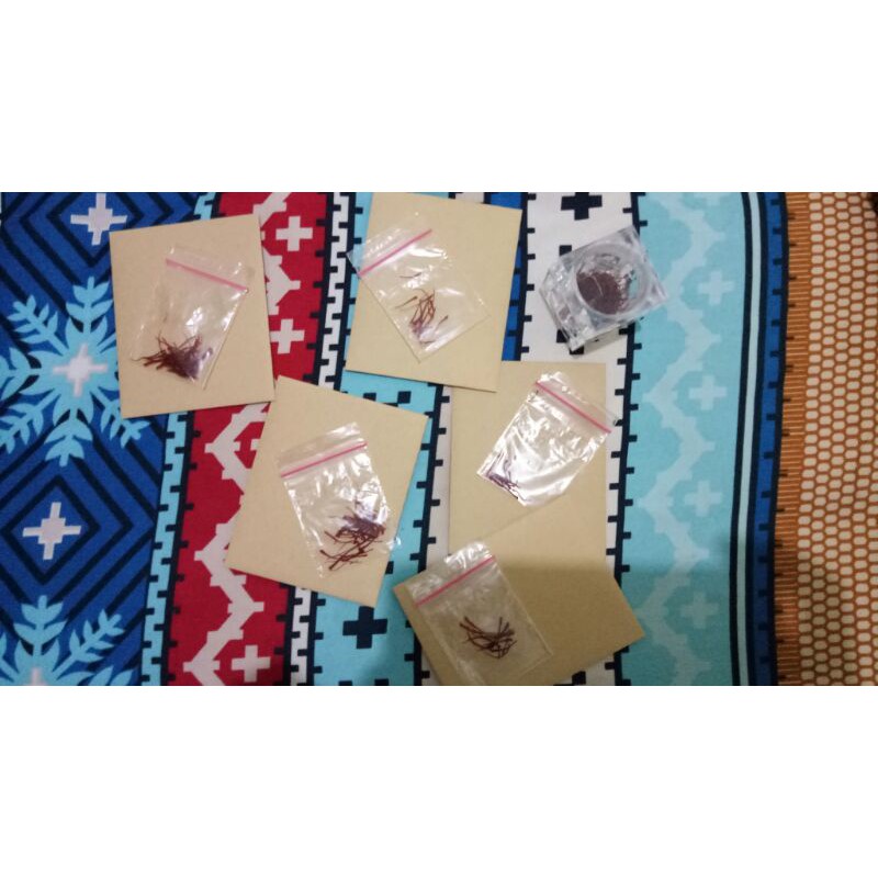 

saffron kemasan 0.5gr