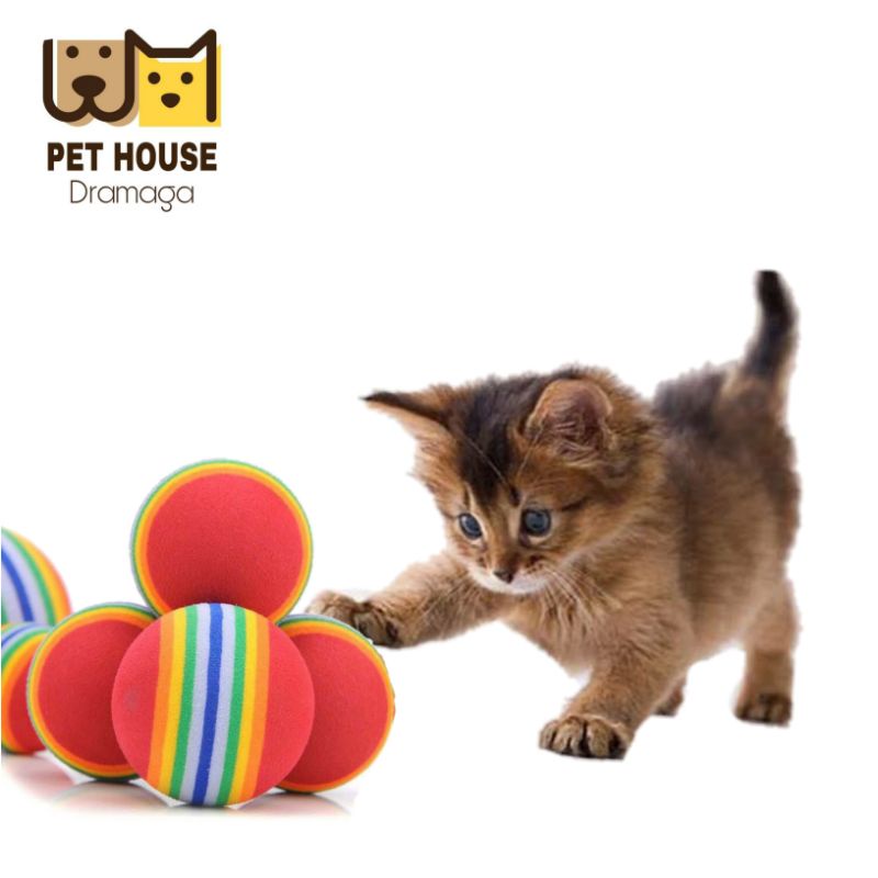 Mainan Bola Kucing | Rainbow Ball | Cat Toys