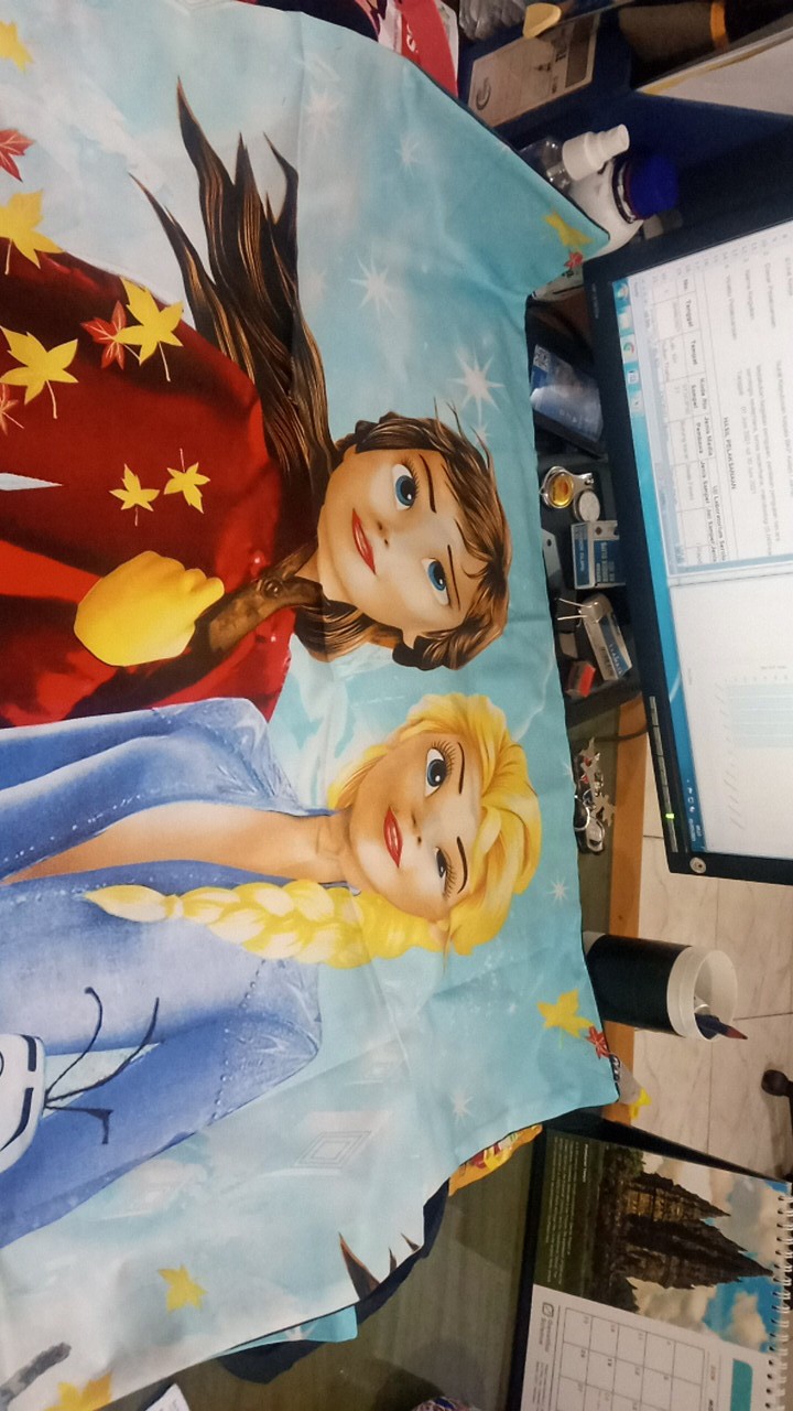 Sprei Katun Homemade Karakter 160x200//120x200/180x200/frozen/biru - 90x200