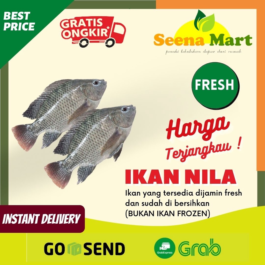 Jual Ikan Air Tawar Ikan Nila Ikan Segar Nila Ikan Fresh Pasar Lampung