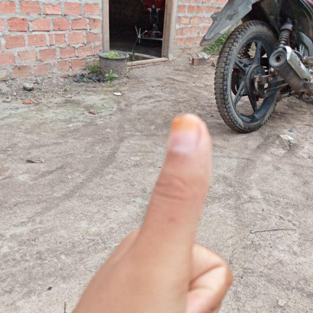 Pestisida Pembasmi Hama Tanaman Phefoc Hcs