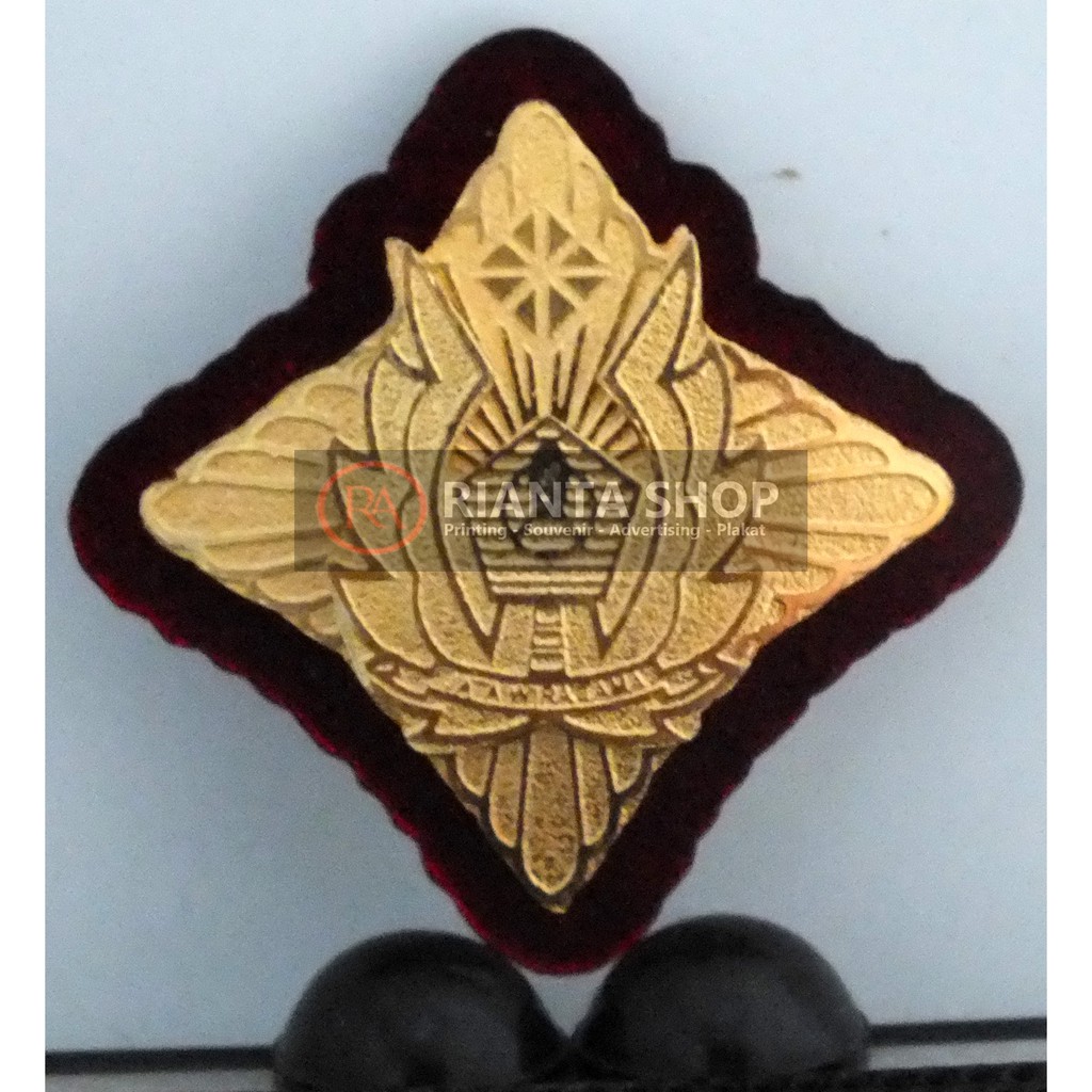 pin alumni sttd mirror