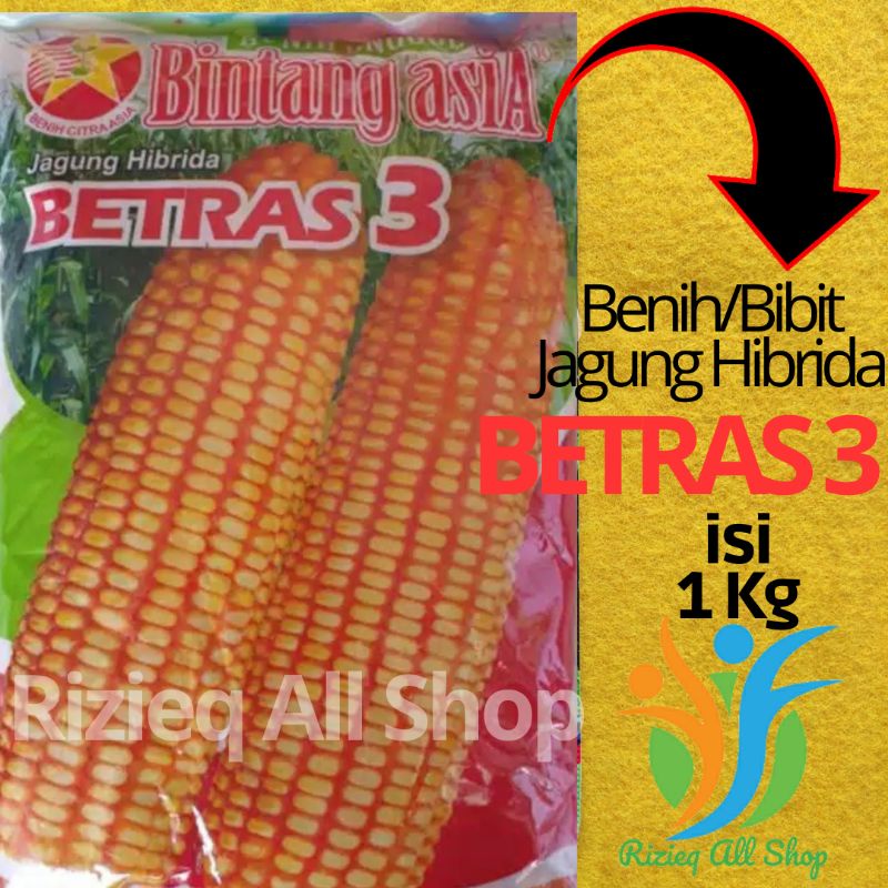 Benih Jagung Hibrida BETRAS 3 isi 1Kg Bibit Jagung Hibrida Bintang AsiA