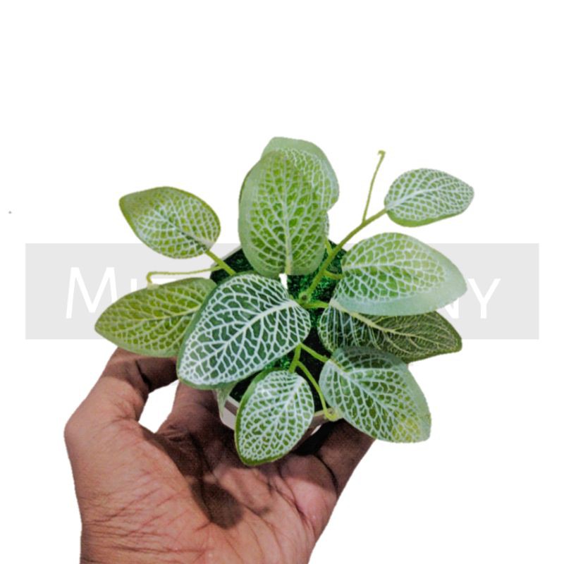 TANAMAN BUNGA ARTIFICIAL BUNGA HIAS DEKORASI HIASAN RUMAH BUNGA PLASTIK MURAH BUNGA AGLONEMA MINI-7