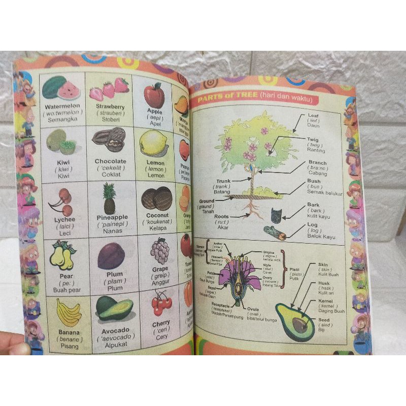 Buku Anak - Kamus Ideal Inggris Indonesia Bergambar Grammar And Conversation-5