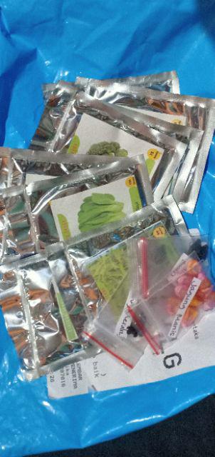 Benih Bibit Biji Wheat Grass Microgreen Rumput Gandum Kemasan Alumunium Foil