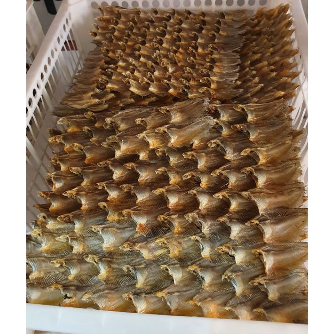 

Ikan sepat tikar khas kalimantan 1 kg