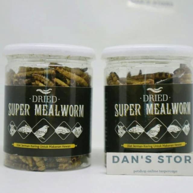 Dreid super mealworm - ulat jerman sugar glider landak marmut bajing ulet jerman kering ulat kering