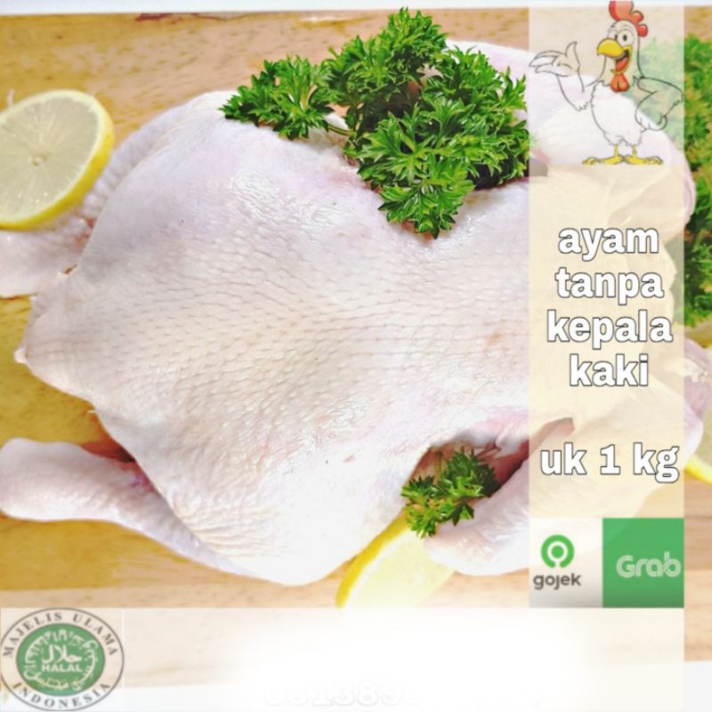 

ayam tanpa kepala kaki uk 1kg fress / ayam karkas / ayam 1kg up / ayam segar / ayam potong / ayam premium