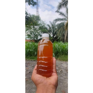 

Madu hutan Asli