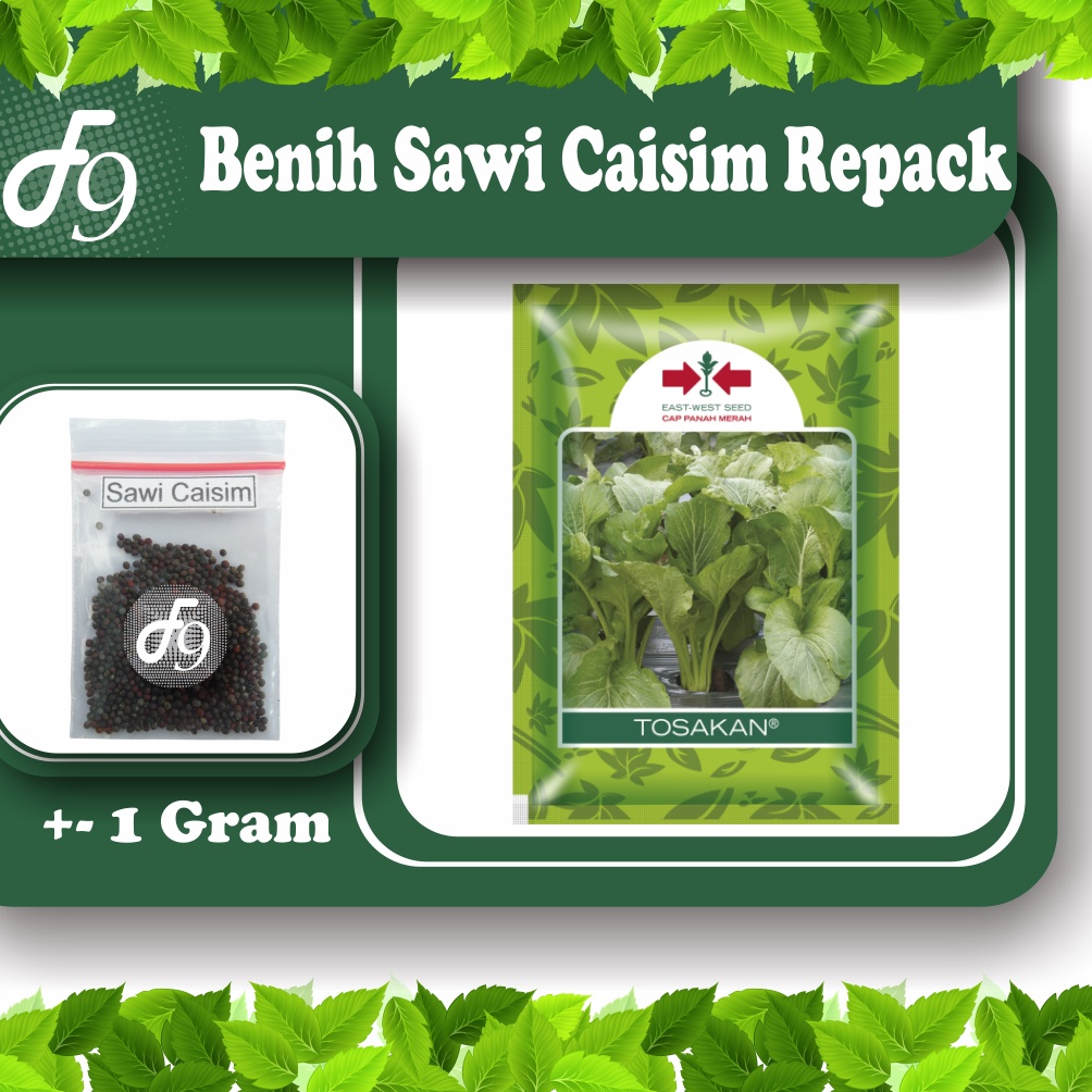 Benih Bibit Sawi Caisim Murah Repack Seribuan