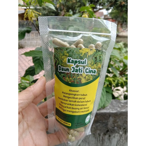 pelangsing kapsul daun jati cina isi 100 kapsul