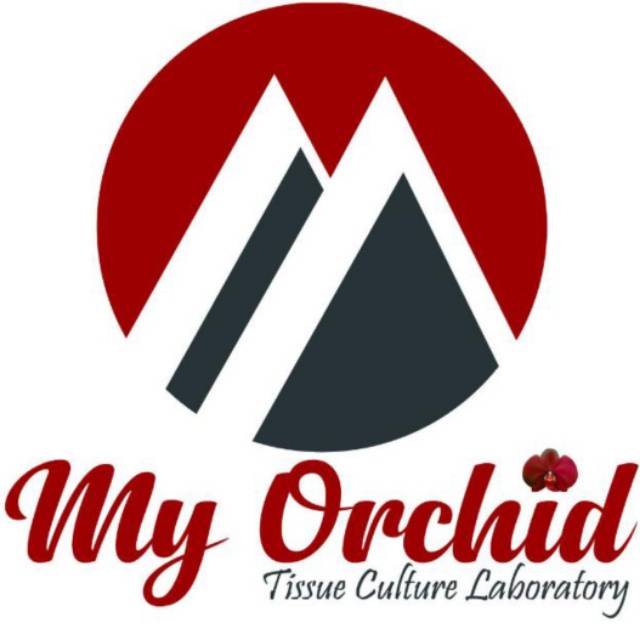 mayafitri7