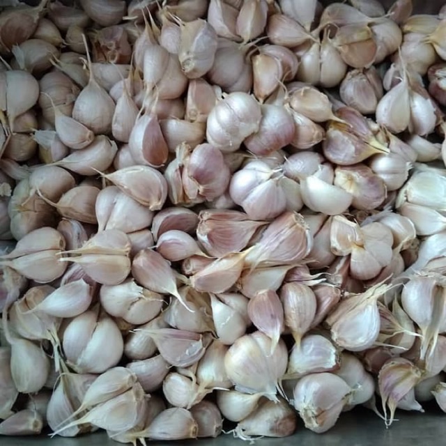 

Bawang kating 250grm
