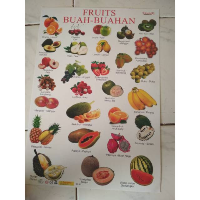 Jual Poster Buah Buahan Shopee Indonesia 