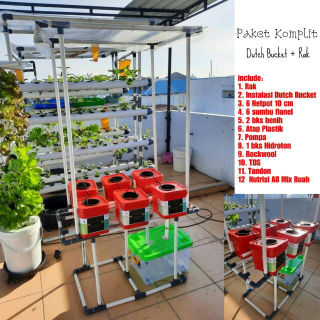 Hidroponik Dutch Bucket