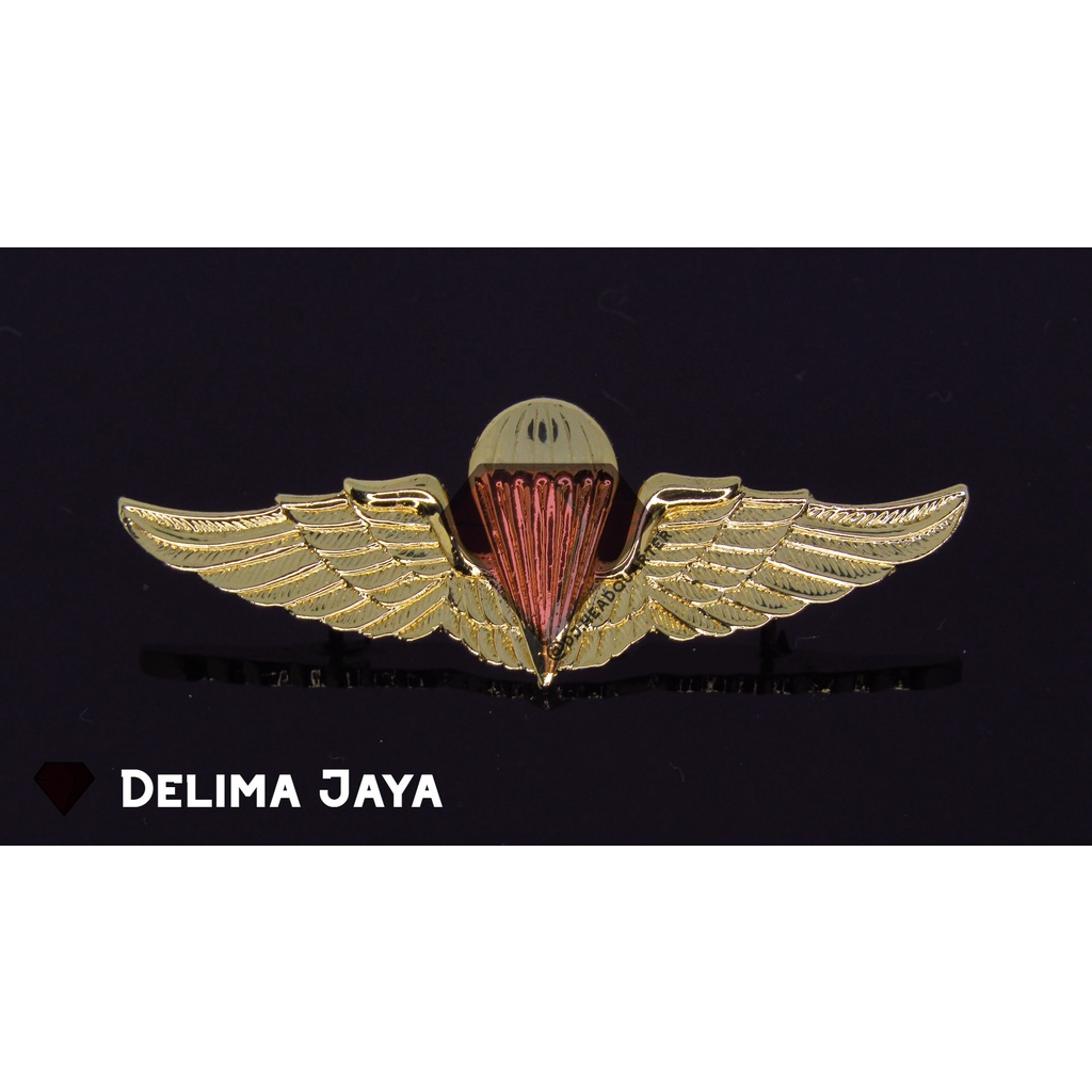 Brevet / Wing PDH Para Dasar