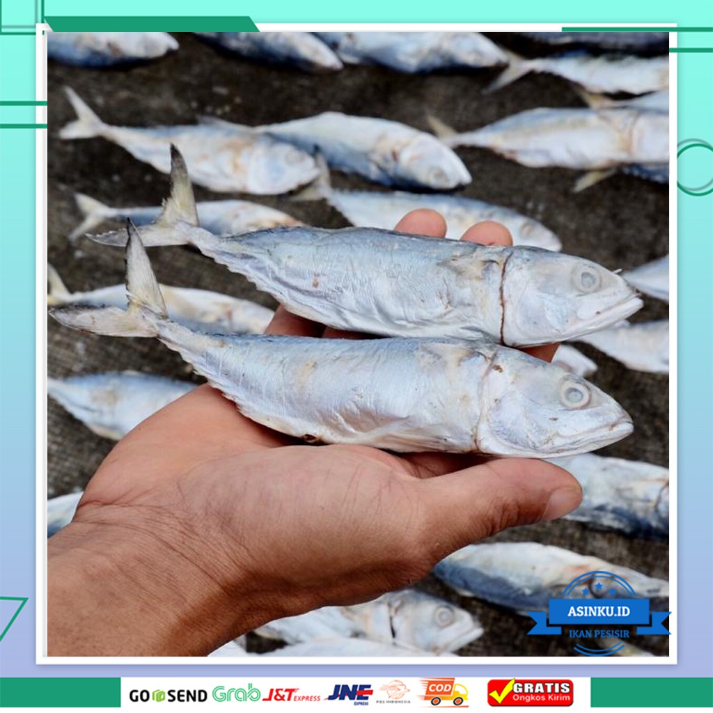 

IKAN GEMBUNG PEDA 250g | IKAN ASIN GEMBUNG | IKAN PEDA 250g | IKAN ASIN PALING MURAH