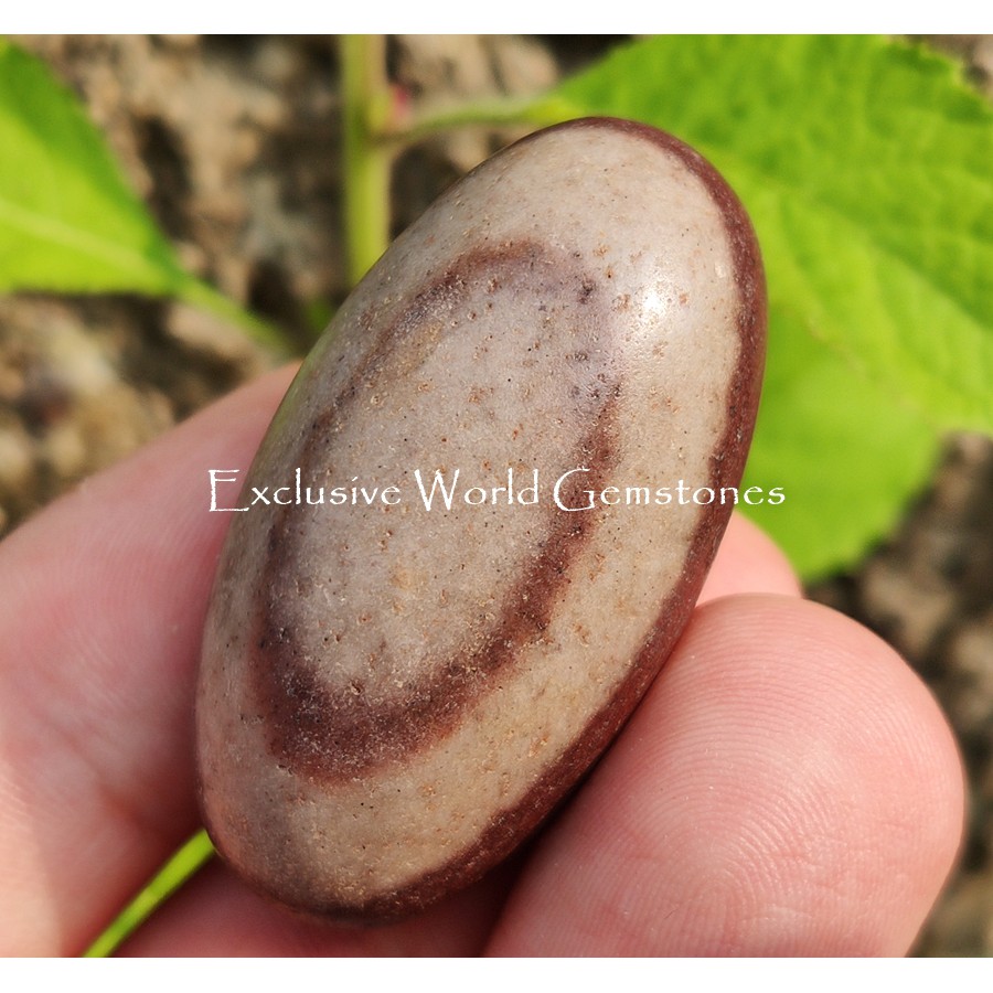 1.77.60 - Natural Narmada Shiva Lingam XXL - India