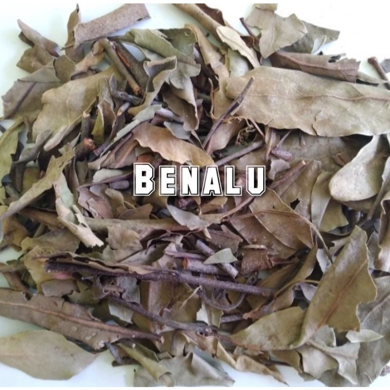 

Benalu teh 1kg / Daun benalu kering