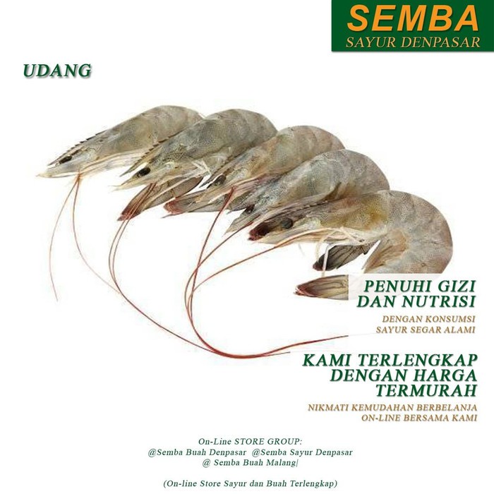 

UDANG BESAR seafood DENPASAR BALI sembako bumbu dapur lauk food bahan makanan murah fresh
