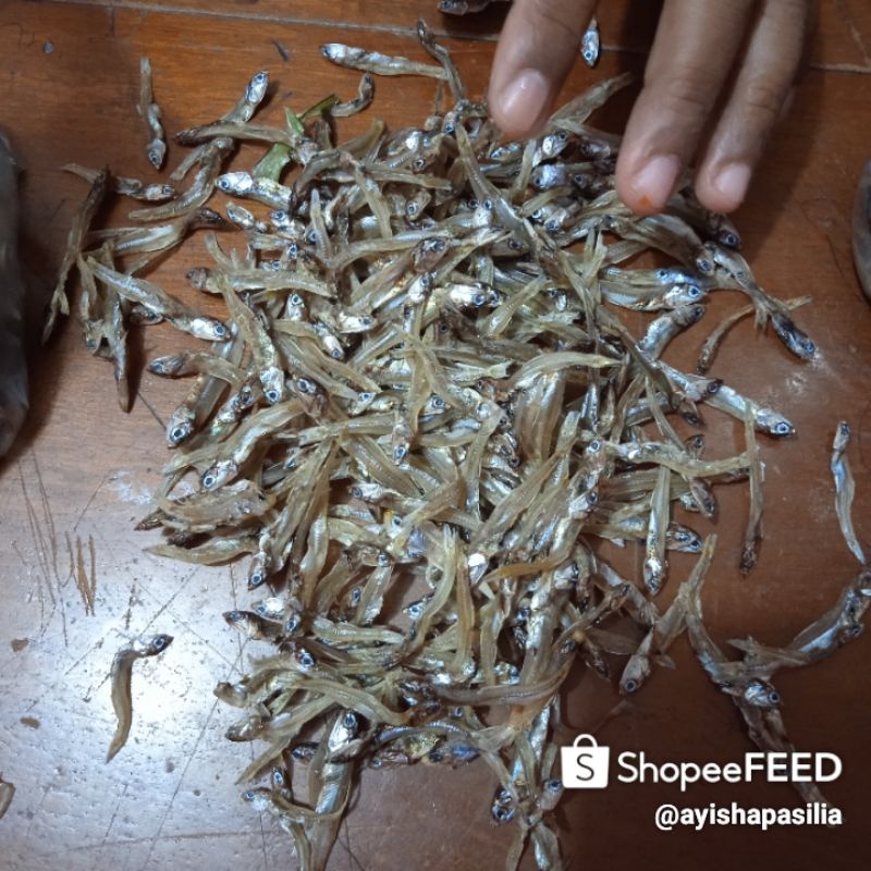 

Ikan Teri Super