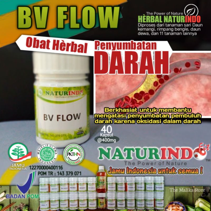 Naturindo BV FLOW Obat Herbal Penyumbatan Darah