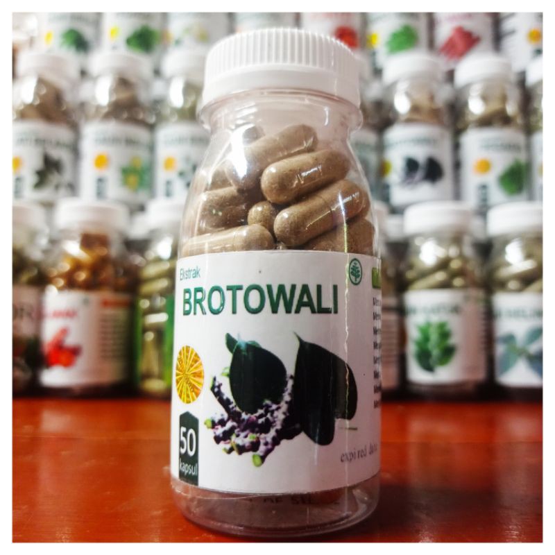 Brotowali obat gatal kulit eksim alergi biduran herbal daun jamu suplemen kesehatan isi 50 kapsul-6