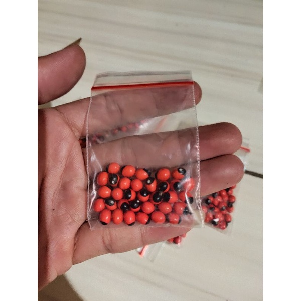 Benih biji pohon saga/ benih tanaman daun saga isi (30 pcs)