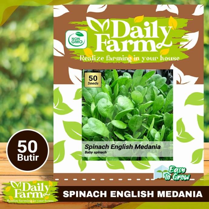 Benih Sayur Bayam Hijau - Spinach English Medania - Baby Spinach - DF