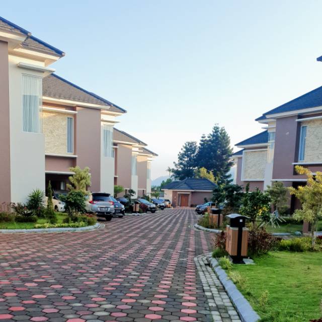 grubarisan