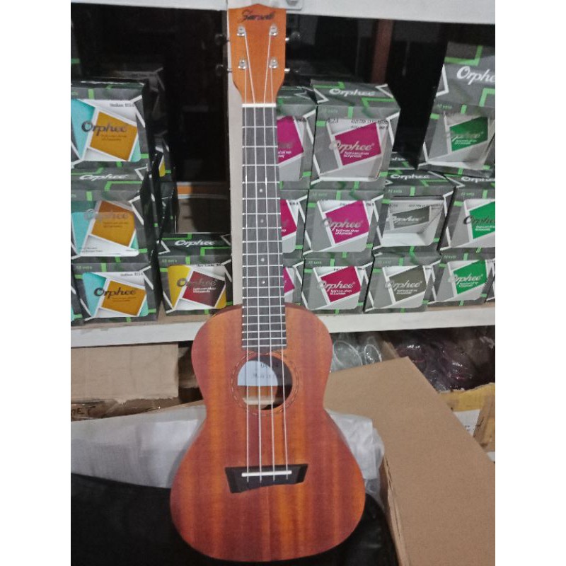 Ukulele Concerto 23&quot; NS