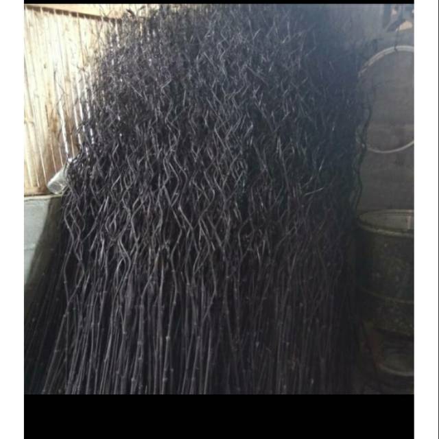 bambu ulir hitam# Bambu cendani