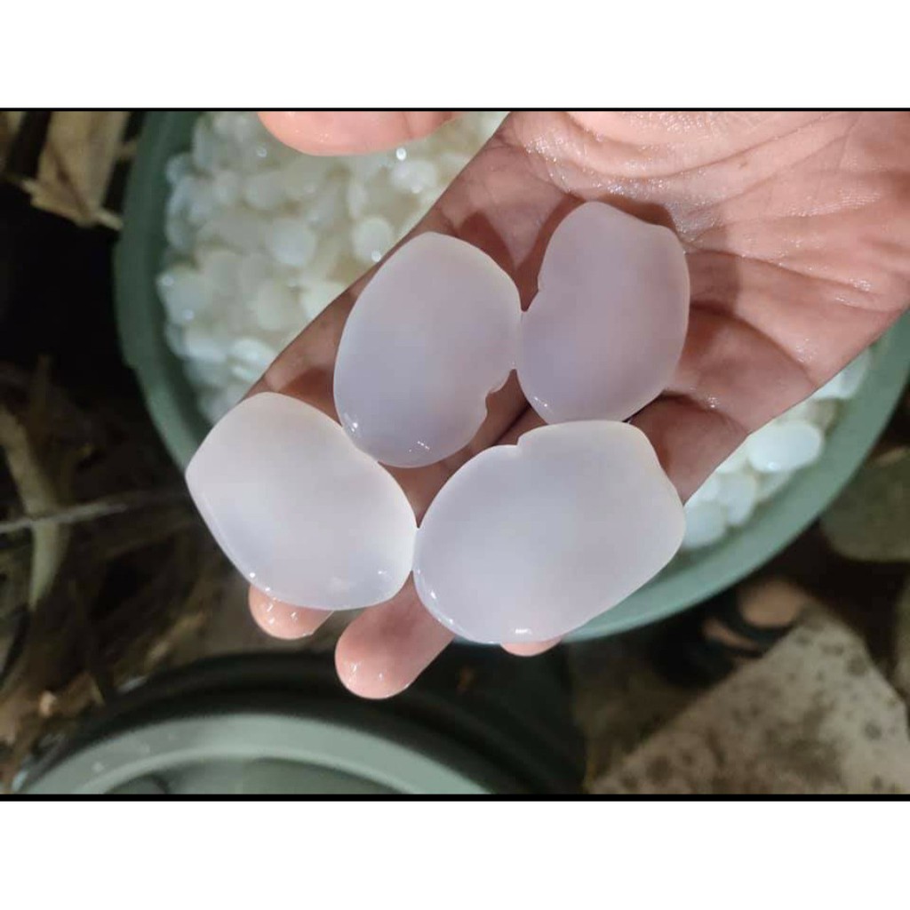 

kolang kaling Medan Original
