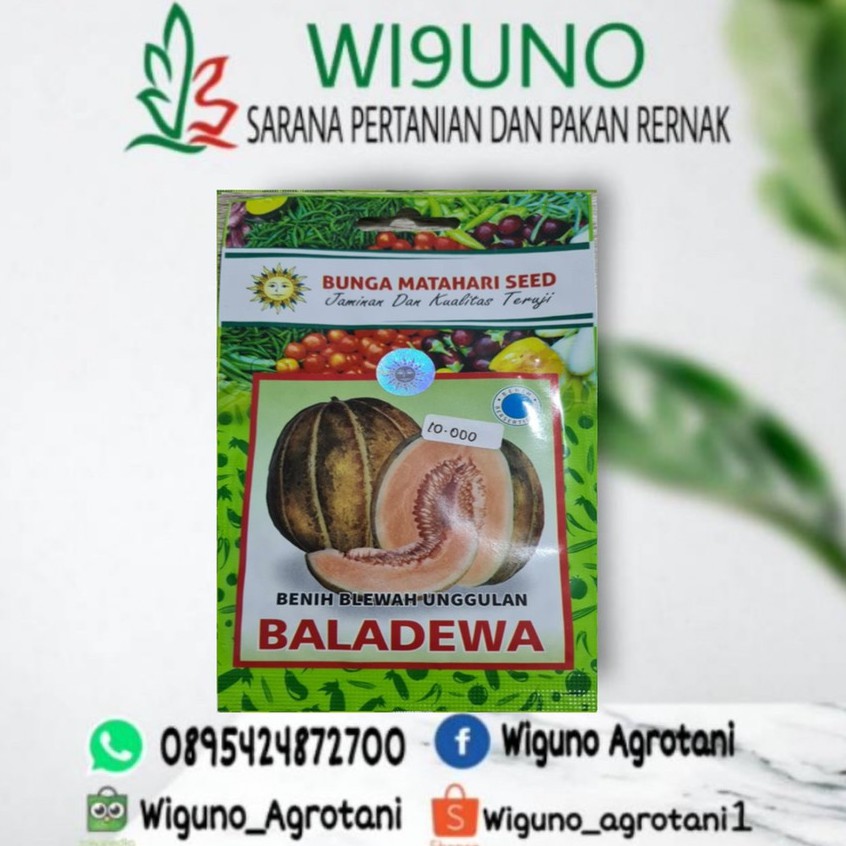 Harga Gila Benih Blewah Unggulan~baladewa mmwr7JmHVMkz7LB