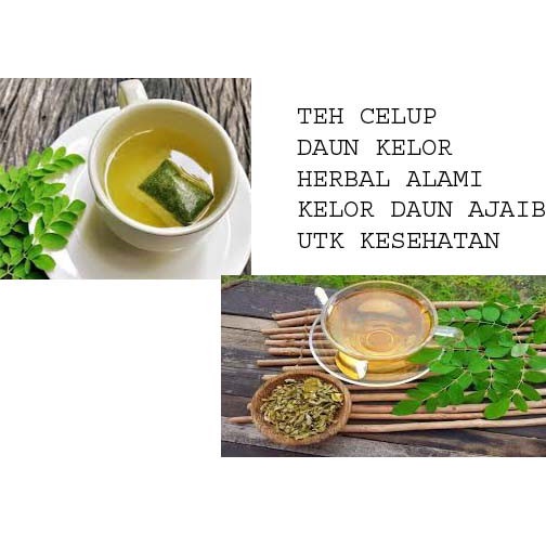

Teh Celup Daun Kelor Teh Daun Ajaib Untuk Kesehatan