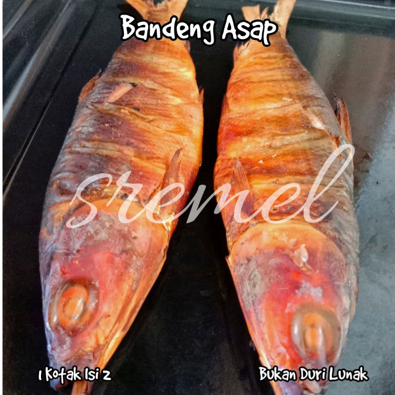 Ikan Bandeng Asap Vacum Perkotak Isi 2