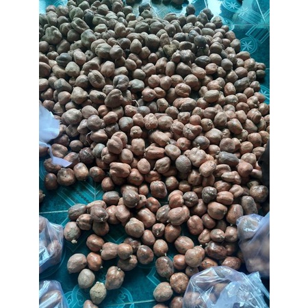 

Buah zuriat 1kg Mesir/ buah zuriat promil /promil/zuriat /buah zuriyat/minuman/mainan tradisional/promil suami istri